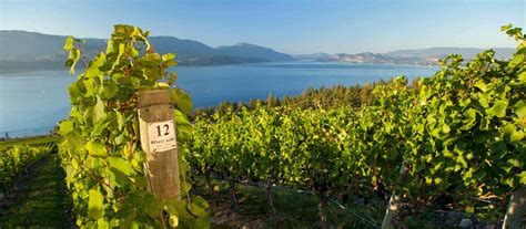 Discover The Wines Wineries And Vineyards Of British Columbia Wine Bc