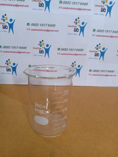 Jual Beaker Glass 250 Ml Pyrex Gelas Piala Gelas Kimia Di Lapak Onestop Laboratory Bukalapak