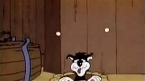 Tom And Jerry Honeymoon Porn Videos