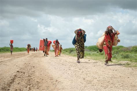 Somália Deslocados Internos Lutam Pela Sobrevivência Em Tempos De Pandemia Amnistia