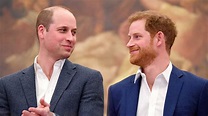 Prince Harry And Prince William ‘Back In Touch’ After Reported Fallout ...