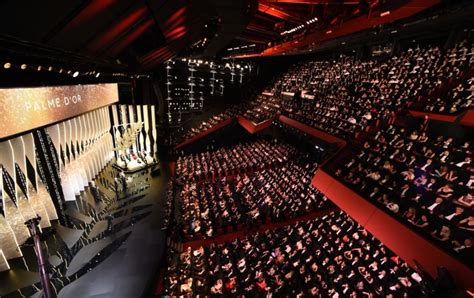 TV5MONDE celebrates the Cannes Film Festival | French Culture