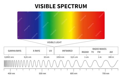 Premium Vector Visible Light Diagram Color Electromagnetic Spectrum Light Wave Frequency