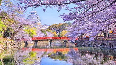Foto Präfektur Tokio Japan Natur Brücken Frühling Flusse 2560x1440