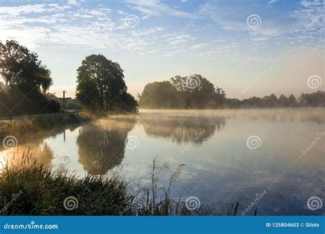 Early Summer Morning At The Pond Stock Image Image Of Outdoors
