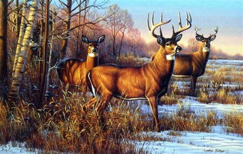 Famous Whitetail Deer Paintings