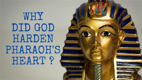 Why Did God Harden Pharaohs Heart Youtube
