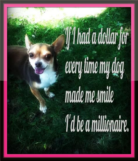 You Make Me Smile This Isnt A Chihuahua But This Is So True About