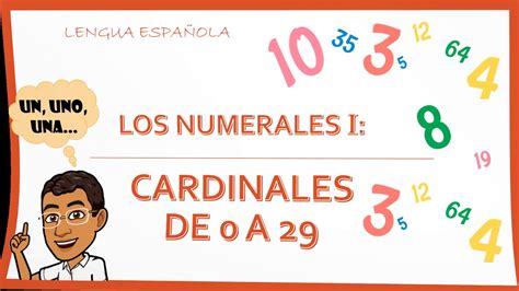 Los Cardinales De 0 A 29 En EspaÑol Ejercicios Los Numerales I