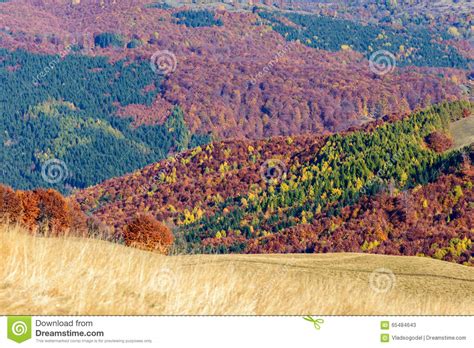 Mountain Autumn Landscape With Colorful Forest Horizontal Panoramic
