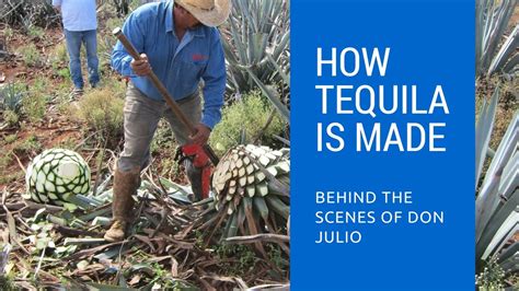 So, while sucralose has been deemed acceptable for consumption for the time being, there's still a lot we don't know about how it might affect our health. How Tequila Is Made: Behind The Scenes of Don Julio ...