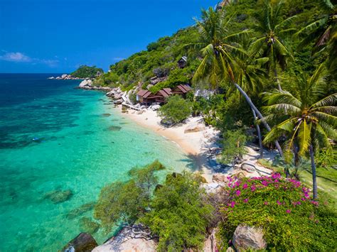 june juea bay koh tao — koh tao a complete guide