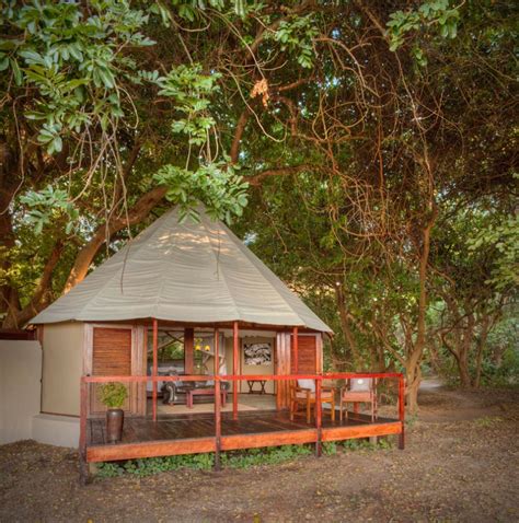 Sausage Tree Camp Holiday Accommodation In Zambia Africa Wildlife