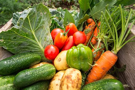 Get Healthy And Save Money By Food Gardening Coop