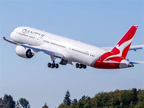 Building A Qantas Dreamliner Airline Ratings