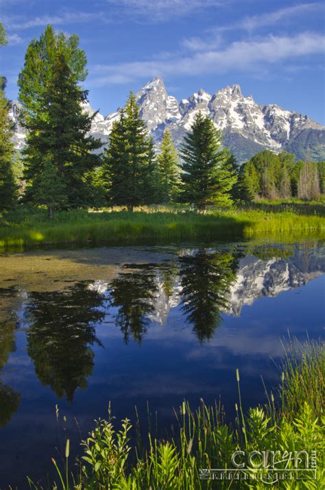 Sunrise On The Grand Tetons At Schwabacher Landing Caryn Esplin