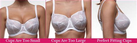 The best thing you can do is look at a lot of before and after photos. Bra Fitting: Is Your Current Bra a Good Fit? | Bra fitting ...