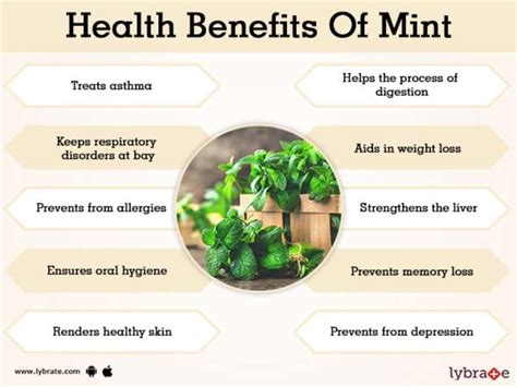 Benefits Of Mint And Its Side Effects Lybrate