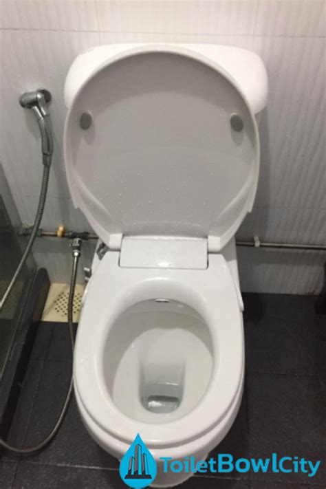Reasons Why You Should Hire A Professional For Your Toilet Bowl Installation Toilet Bowl
