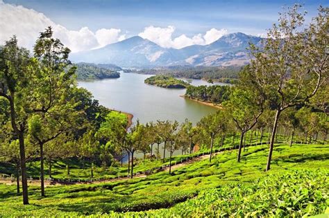 Get Ready To Explore Munnar Exciting Things To Do