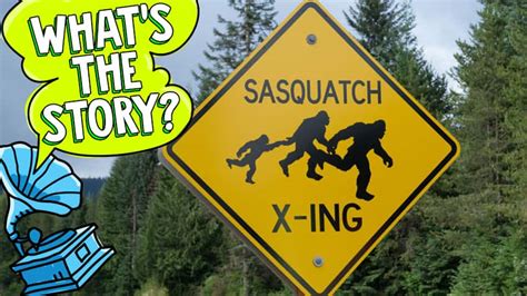 Have You Ever Spotted A Sasquatch Explore Awesome Activities And Fun