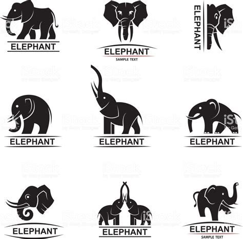 Elephant Icons Set Royalty Free Abstract Stock Vector Elephant Icon