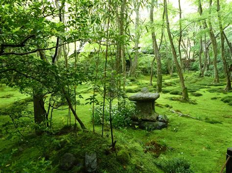 Moss Garden Japan Spiritual Garden Serenity Garden Moss Garden