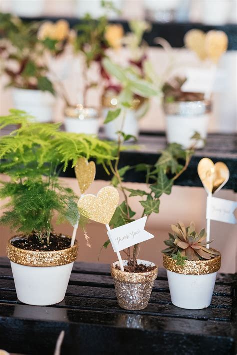 Glitter Potted Plant Wedding Favors