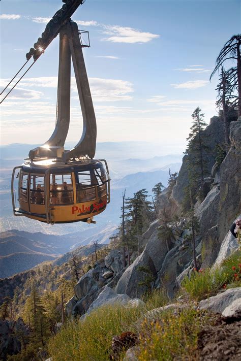 tram over Palm Springs | Aerial tramway, Palm springs california