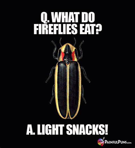 Insect Jokes Bug Puns Six Legged Laughs 2