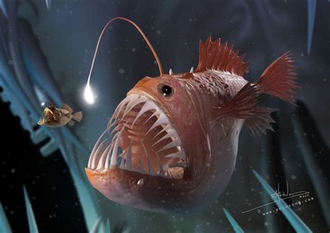 3d Angler Fish By Akin Vong Graphic And Illustrative Art Pinterest