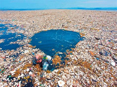 Great Pacific Garbage Patch Pulau Sampah Terbesar Di