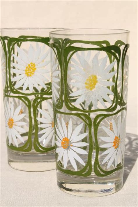 Vintage Drinking Glasses W Retro Summer Flowers Daisies And Queen Anne S Lace