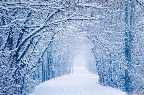 19 Breathtaking Photos Of Winter Wonderlands Around The World