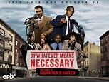 Watch By Whatever Means Necessary: The Times of Godfather of Harlem ...