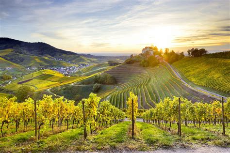 German Wine 5 Travel Itineraries For Sampling The Countrys Best