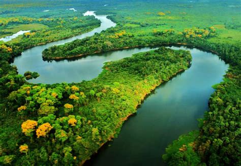 Amazônia Ganha 230 Mil Hectares De áreas Protegidas Grupo Conserbras