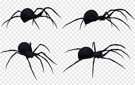Black Widow Spider Stencils