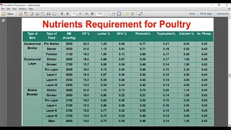 Poultry Feed Formulation And Feeding Economics Youtube