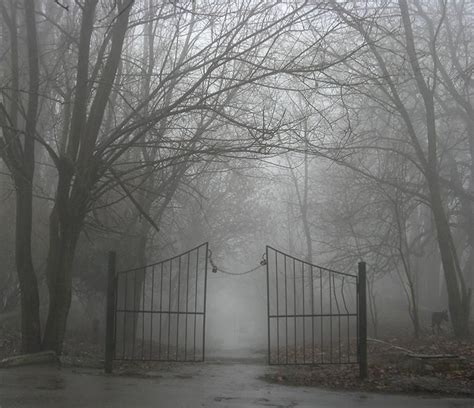 Gateway To Fog By Andrew Krotov Nature Photographs Creepy Fog Nature