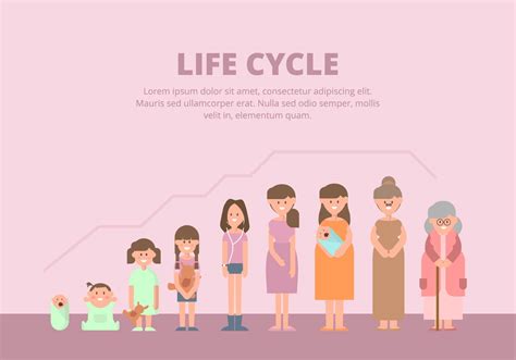 Life Cycle Background