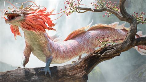 Dragon By Yuuki Morita 4k Gogambar