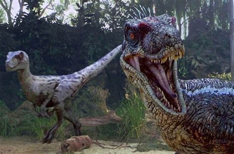 Jurassic World Branded Wrong As Scientists Reveal Velociraptors Had Feathers And Bird Like