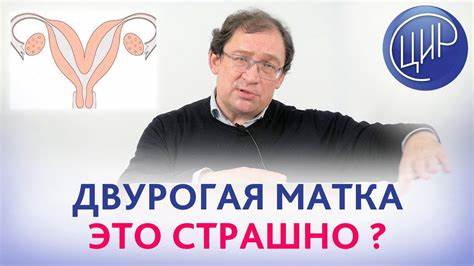 Тромбофилия беременность диета ДВУРОГАЯ МАТКА, ТРОМБОФИЛИЯ и НЕЗАПЛАНИРОВАННАЯ беременность. ЧТО ДВУРОГАЯ МАТКА, ТРОМБОФИЛИЯ и НЕЗАПЛАНИРОВАННАЯ беременность. ЧТО Тромбофилия беременность диета