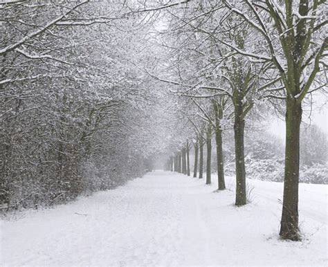 Weather Wall Of Snow To Smash Uk As Snowbomb Hits In