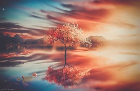 Wallpaper Digital Art 500px Mehdi Mostefa Nature Trees Water