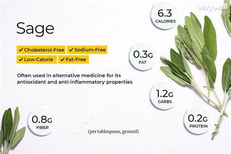 Sage Health Benefits Side Effects And Interactions