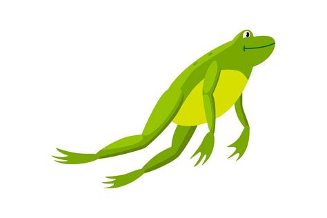Green Frog Jumping Vector Illustration Graphic By Pchvector