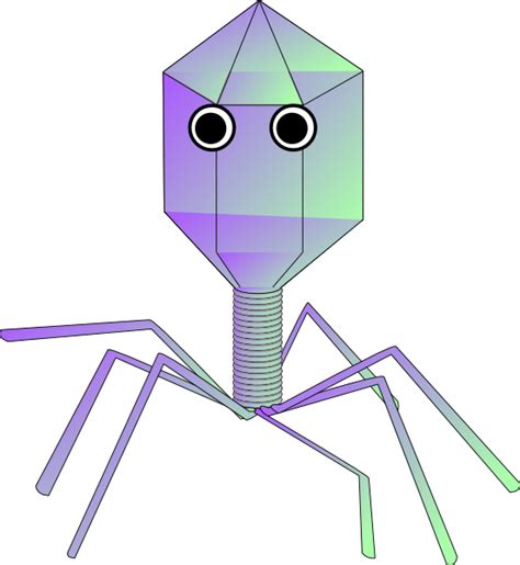 Virus Png Clipart Png Mart