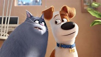 Through the Reels: Movie Review: "The Secret Life of Pets" (2016)